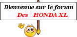 Bonjour (Honda TL125 JD06 1988) 3138783321
